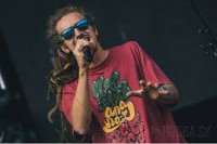 /album/fotogaleria/mediaaal-jpg/
